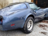 1982 Chevrolet Corvette for sale in Michigan (ID-126503)