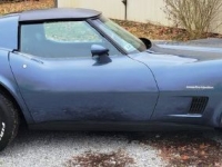 1982 Chevrolet Corvette for sale in Michigan (ID-126503)