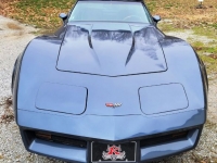1982 Chevrolet Corvette for sale in Michigan (ID-126503)
