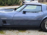 1982 Chevrolet Corvette for sale in Michigan (ID-126503)