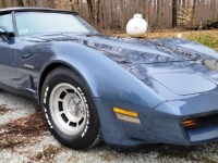 1982 Chevrolet Corvette for sale in Michigan (ID-126503)