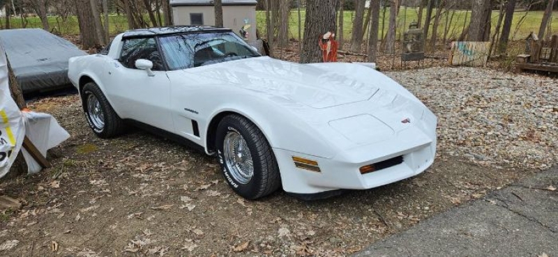 1982 Chevrolet Corvette for sale in Michigan (ID-127289)