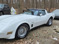 1982 Chevrolet Corvette for sale in Michigan (ID-127289)