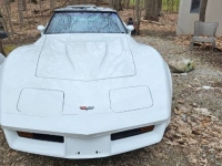 1982 Chevrolet Corvette for sale in Michigan (ID-127289)