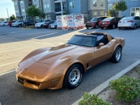 1982 Chevrolet Corvette for sale in Michigan (ID-130197)