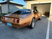 1982 Chevrolet Corvette for sale in Michigan (ID-130197)