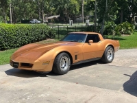 1982 Chevrolet Corvette for sale in Michigan (ID-130197)
