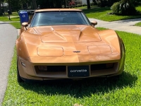 1982 Chevrolet Corvette for sale in Michigan (ID-130197)