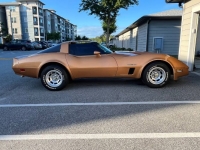 1982 Chevrolet Corvette for sale in Michigan (ID-130197)