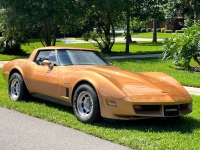 1982 Chevrolet Corvette for sale in Michigan (ID-130197)