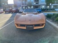 1982 Chevrolet Corvette for sale in Michigan (ID-130197)