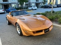 1982 Chevrolet Corvette for sale in Michigan (ID-130197)