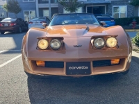 1982 Chevrolet Corvette for sale in Michigan (ID-130197)