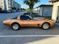 1982 Chevrolet Corvette for sale in Michigan (ID-130197)