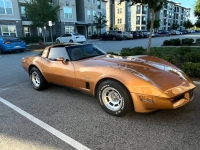1982 Chevrolet Corvette for sale in Michigan (ID-130197)