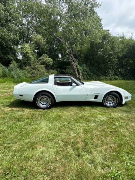 1982 Chevrolet Corvette for sale in Michigan (ID-131623)