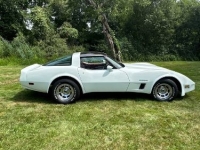 1982 Chevrolet Corvette for sale in Michigan (ID-131623)