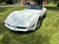 1982 Chevrolet Corvette for sale in Michigan (ID-131623)