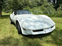 1982 Chevrolet Corvette for sale in Michigan (ID-131623)
