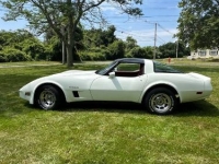 1982 Chevrolet Corvette for sale in Michigan (ID-131623)