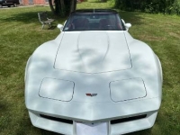 1982 Chevrolet Corvette for sale in Michigan (ID-131623)