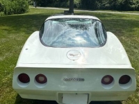 1982 Chevrolet Corvette for sale in Michigan (ID-131623)
