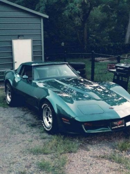 1982 Chevrolet Corvette for sale in Michigan (ID-143563)