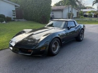 1982 Chevrolet Corvette for sale in Michigan (ID-143806)