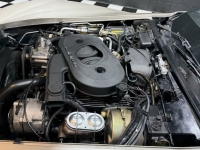 1982 Chevrolet Corvette for sale in Addison, Illinois (ID-144324)