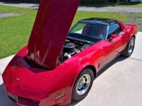 1982 Chevrolet Corvette for sale in Michigan (ID-144593)