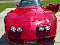 1982 Chevrolet Corvette for sale in Michigan (ID-144593)
