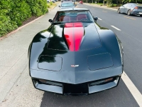 1982 Chevrolet Corvette for sale in Michigan (ID-146774)