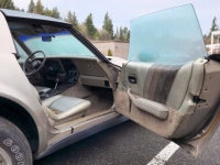 1982 Chevrolet Corvette for sale in Michigan (ID-155731)