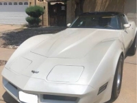 1982 Chevrolet Corvette for sale in Michigan (ID-162257)