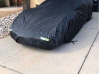 1982 Chevrolet Corvette for sale in Michigan (ID-162257)