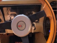 1982 Chevrolet Corvette for sale in Michigan (ID-162257)