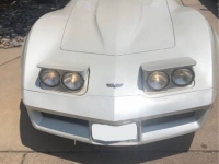 1982 Chevrolet Corvette for sale in Michigan (ID-162257)