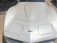 1982 Chevrolet Corvette for sale in Michigan (ID-162257)