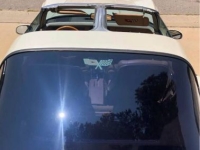 1982 Chevrolet Corvette for sale in Michigan (ID-162257)