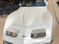 1982 Chevrolet Corvette for sale in Michigan (ID-162257)