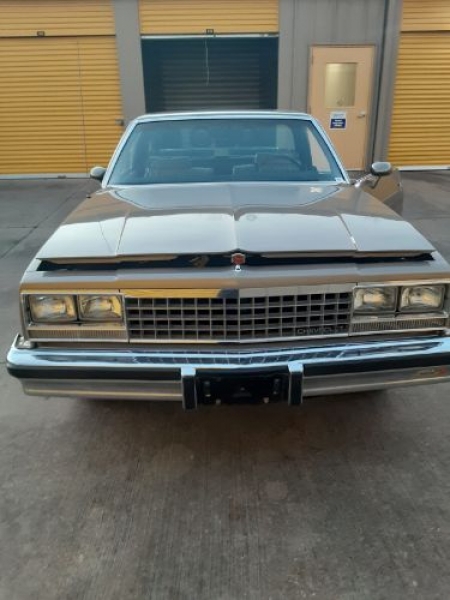1982 Chevrolet El Camino for sale in Michigan (ID-96638) 1982 Chevrolet El Camino for sale in Michigan (ID-96638)