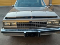 1982 Chevrolet El Camino for sale in Michigan (ID-96638)