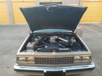 1982 Chevrolet El Camino for sale in Michigan (ID-96638)