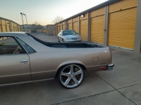 1982 Chevrolet El Camino for sale in Michigan (ID-96638)