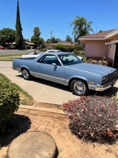 1982 Chevrolet El Camino for sale in Michigan (ID-101983) 1982 Chevrolet El Camino for sale in Michigan (ID-101983)