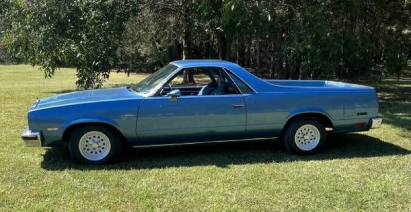 1982 Chevrolet El Camino for sale in Michigan (ID-108663)
