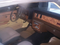 1982 Chevrolet El Camino for sale in Michigan (ID-109695)