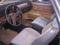 1982 Chevrolet El Camino for sale in Michigan (ID-109695)