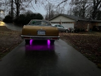 1982 Chevrolet El Camino for sale in Michigan (ID-109798)