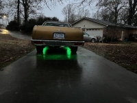 1982 Chevrolet El Camino for sale in Michigan (ID-109798)